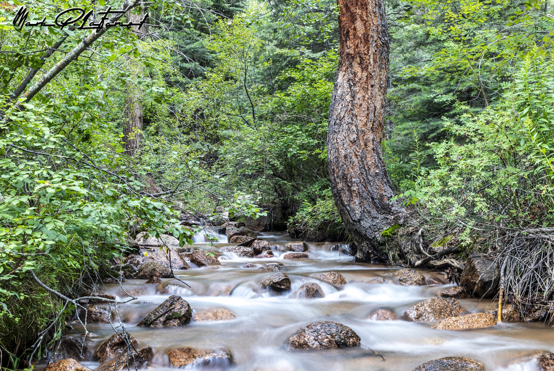 /gallery/north_america/USA/Colorado/colorado springs/Mays Peak Colorado 2023-002_med.jpg